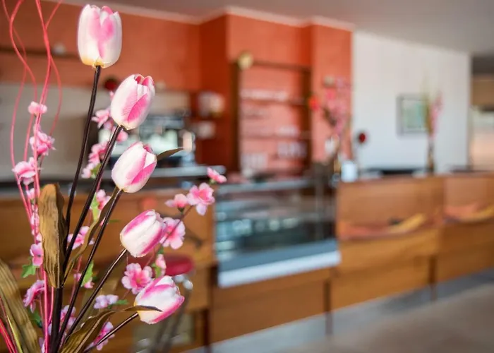 Parco Pisacane Vibonati